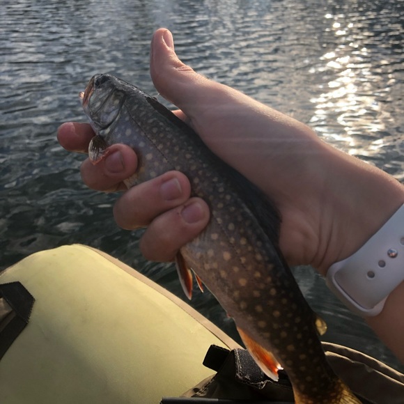 Meet your Posher, Nick - Picture 1 of 1